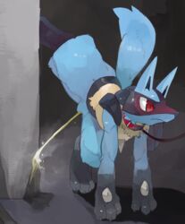 all_fours animal_genitalia anthro blush canine collar digitigrade embarrassed front_view fully_sheathed leash liteu lucario male male_only mammal nintendo nude one_leg_up peeing pokemon pokemon_(species) sheath solo unseen_character urine video_games