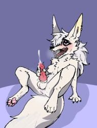 animal_genitalia animal_penis anthro anus black_eyeshadow breasts canid canine canine_genitalia canine_penis canis chest_tuft ear_piercing ejaculation eyeshadow fur genitals gynomorph hair hair_over_eye hand_on_own_penis hand_on_penis intersex jaba_coyote jackal knot knotted_penis makeup mammal masturbation open_mouth pawpads penile penile_masturbation penis piercing solo tht tuft white_body white_fur