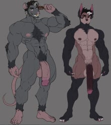 abs anthro athletic athletic_anthro athletic_male balls beard biceps big_penis black_body black_fur black_hair brown_body brown_fur brush calf_muscles canid canine canis castbound chest_tuft claws comb_(brush) domestic_dog duo facial_hair flaccid fur furless_tail genitals gold_(metal) gold_tooth grey_background grey_body grey_fur hair hairbrush huge_penis long_penis male mammal murid murine muscular muscular_male navel nipples nude pecs penis pubes quads rat rodent russell_(castbound) scar simple_background smile standing tail tuft vein veiny_balls veiny_penis vincenzo_leone white_hair