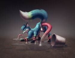 anal anal_penetration animal_genitalia anus balls canid canine digitalfox feral fox genitals hi_res male mammal penetration sheath solo srfx18 stretched_anus taurin_fox tentacle_in_ass tentacle_penetration tentacles zatch_(sirfox)