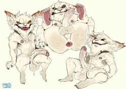 anthro anus balls barbell_piercing beard big_balls big_penis blind_eye bluesh bodily_fluids butt cum cumshot ejaculation erection eye_scar facial_hair facial_scar foreskin fur genital_fluids genitals glans hands-free hi_res humanoid_genitalia humanoid_penis kled_(lol) league_of_legends male mammal muscular muscular_anthro muscular_male nipple_barbell nipple_piercing nipples nude penis piercing presenting presenting_hindquarters retracted_foreskin riot_games scar sharp_teeth small_but_hung smile solo teeth tencent unretracted_foreskin vein veiny_penis white_body white_fur yordle