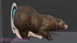 3d 3d_animation animated artist_request bear big_butt blender brown_bear butt_crush duo feral human