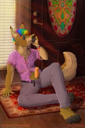 1boy anthro canine clothed clothing einshelm erection fox fur furry hair humanoid_penis inside jewelry makeup male male_only mammal multicolored_hair necklace penis rainbow_hair sitting smile solo