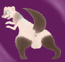 ass feral ferret fur male mammal mega_ferret mustelid presenting sirius