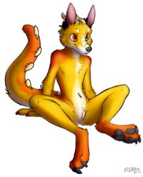 anthro canine cuntboy dragon fox fozzaroo furry furry_only hybrid intersex mammal meirro no_humans paws pussy sitting solo