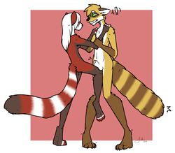 artist_request ballbusting balls cock_and_balls_torture feline kick male mammal penis raccoon red_panda small_penis