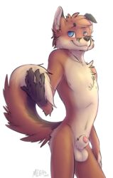 5_fingers animal_genitalia balls blue_eyes blush brown_fur canine chest_tuft fox fur husky hybrid male male_only mammal meirro navel nipples orange_fur sheath solo standing suka_(character) tuft