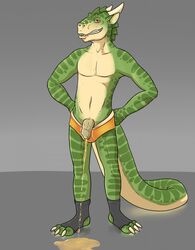 Anthro Rule 34 Image