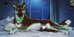 2025 animal_genitalia animal_penis balls bed bedroom_eyes brown_body brown_fur canid canine canine_genitalia canine_penis canis claws collar detailed_background digital_media_(artwork) digitigrade domestic_dog english_text feral fur furniture genitals german_shepherd green_body green_eyes green_fur herding_dog hi_res inside lying male male_feral mammal multicolored_body multicolored_fur narrowed_eyes on_bed on_side pastoral_dog penis penis_tip quadruped seductive sheath sheppermint solo talking_to_viewer text toe_claws truegrave9 white_balls white_body white_fur white_sheath
