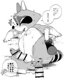 2025 anthro azwozw balls blush bodily_fluids bonobono censored dialogue duo erection genitals gulonine hi_res humanoid_hands japanese_text kemono male male/male mammal monochrome mustelid musteline nipples papa_araiguma_(bonobono) papa_guzuri_(bonobono) penis procyonid raccoon solo_focus sweat text wolverine