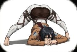 mikasa ackerman from attack on titan by xingling