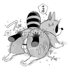 2025 all_fours angry anthro ass azwozw backsack balls big_butt bonobono censored dialogue duo furry genitals heart_symbol hi_res humanoid_hands japanese_text kemono male mammal monochrome papa_araiguma_(bonobono) procyonid question_mark raccoon simple_background solo_focus text white_background