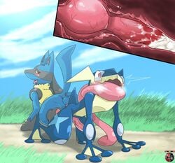 2boys all_fours amphibian anal anal_knotting anal_sex animal_genitalia animal_penis anthro anus ass blush canine canine_penis cum cum_inside erection fangs frog furry gay grass greninja kivwolf knot knotting long_tongue looking_back lucario male male_only mammal multiple_boys nintendo open_mouth outdoors outside penetration penis pink_eyes pokemon pokemon_(species) red_eyes saliva sex spikes sweat tail testicles text tongue tongue_out veins veiny_knot veiny_penis video_games