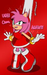 amy rose from sonic (series) by radicool332