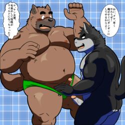 anthro blush canine embarrassed erection japanese_text male mammal overweight penis shiba-kenta smile text underwear_pull yaoi