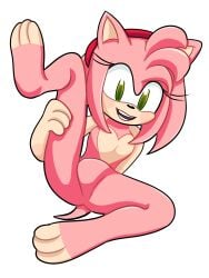 amy_rose anthro green_eyes hedgehog looking_at_viewer no_genitals no_nipples nude nude_female pink_body pink_hair rougethedaisy solo solo_female solo_focus sonic_(series) sonic_the_hedgehog_(series) spread_legs spreading_legs