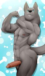 1boy 2016 abs anthro balls biceps black_nose blue_background blue_eyes canine elbow_tufts flexing fur grey_fur hand_on_neck humanoid_hands male male_only mammal muscular muscular_male navel neck_tuft nipples nude pattern_background pecs penis pubes simple_background slypon smile solo standing tuft wolf