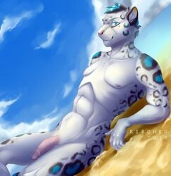 1boy 2016 abs anthro beach black_fur blue_eyes blue_fur feline fur kirchen leopard lying male male_only mammal nipples nude on_back outside penis pink_nipples pink_penis sand seaside smile snow_leopard solo spots whiskers white_fur