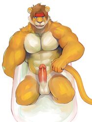 anthro balls erection feline iceman1984 lion male male_only mammal muscular penis