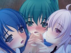 1boy 3girls ahoge blue_eyes blue_hair blush censored crossover cyclamen_(flower_knight_girl) daiyousei fellatio flower_knight_girl green_eyes green_hair kantai_collection male_pov multiple_girls onsen_tamago_(nurumayu_onsen) open_mouth oral panties penis pov purple_eyes samidare_(kantai_collection) side_ponytail smile teamwork touhou underwear unseen_male_face white_panties