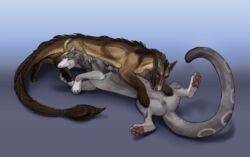 2016 4_fingers 4_toes 69_position amber_eyes anatomically_correct animal_genitalia animal_pussy anus athys_(cheetahs) bent_arm bent_legs black_pawpads brown_fur brown_mane canine_pussy caress claws digital_painting_(artwork) digitigrade dra'essa dragon duo female feral flexible foot_in_mouth fur furry_only grey_background grey_fur grey_mane hand_on_foot hands_on_legs happy hi_res kenara_(cheetahs) licking licking_belly long_tail lying male mane multicolored_fur no_humans on_back on_front on_top open_mouth oral pawpads pink_pawpads pointy_ears pussy quadruped realistic retractable_claws sex shaded shadow simple_background snout soft_shading spread_legs spreading straight tail_tuft tan_fur theowlette toes tongue tongue_out tuft two_tone_fur white_markings yellow_eyes