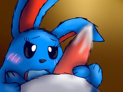 azumarill ball_sucking balls blush couple cum female grey_eyes male penis pokemon rabbit sex straight sucking tongue