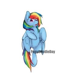 1girls alpha_channel blush cute equine female female_only feral friendship_is_magic hair hooves horse mammal mane multicolored_hair my_little_pony nude one_leg_up pegasus pony ponydoodleday pussy rainbow_dash_(mlp) simple_background solo transparent_background white_background wings