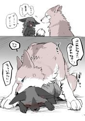 2025 2_panel_comic ambiguous/ambiguous ambiguous_gender ambiguous_penetration bite black_body black_ears black_fur black_nose black_tail blue_eyes blush canid canine canis closed_eyes comic countershade_tail countershading cross-popping_vein dialogue digital_media_(artwork) dipstick_tail duo ears_down female female_(lore) feral fluffy fluffy_tail fox from_behind_position fur gloves_(marking) grey_body grey_fur heart_symbol hi_res japanese_text leg_markings looking_at_viewer lying male male_(lore) mammal markings multicolored_body multicolored_fur multicolored_tail neck_bite on_front on_top penetration pink_tongue pivoted_ears pointy_ears prick_ears quadruped questionable_consent red_eyes red_fox sex side_view signature silver_fox snout socks_(marking) speech_bubble tail tail_markings tan_body tan_ears tan_fur text tongue tongue_out true_fox tsukune_minaga white_body white_fur white_inner_ear white_tail_tip wolf