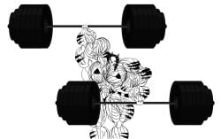 abs e19700 female hair muscular muscular_arms muscular_female muscular_legs muscular_thighs tail weights