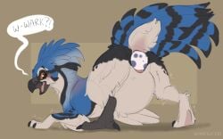 ambiguous_gender animal_genitalia avian beak bird blue_body cloaca egg egg_from_vagina feathered_wings feathers feral genitals mid_transformation open_mouth oviposition solo symrea tail tail_feathers transformation wings