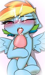 2016 blush captainpudgemuffin cum cum_on_face equine erection female feral friendship_is_magic human male mammal my_little_pony pegasus penis rainbow_dash_(mlp) wings