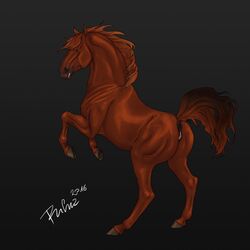 2016 anatomically_correct anatomically_correct_anus anatomically_correct_pussy animal_genitalia animal_pussy anus black_background brown_eyes brown_fur equine equine_pussy female feral fur hi_res hooves horse looking_at_viewer mammal mane on_hind_legs puffy_anus pussy quadruped raised_tail rufciu signature simple_background solo underhoof