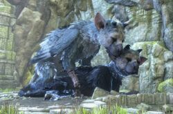 trico from the last guardian