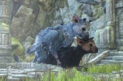 trico from the last guardian