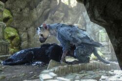 trico from the last guardian