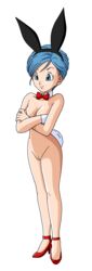 bulma (bunny) from dragon ball by zooor