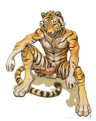 2016 anthro balls erection feline fur hair looking_at_viewer male male_only mammal nude penis shinigamigirl simple_background solo stripes tiger tongue