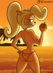 activision anthro ass back_boob back_view bandicoot bare_legs bare_shoulders beach big_breasts bikini black_nose blonde_hair breasts butt clothed clothing coco_bandicoot crash_(series) crash_bandicoot_(series) curled_hair digital_media_(artwork) evergreen_tree eyelashes female flower fruit fur green_eyes hair half-closed_eyes hi_res island lizardsharkragon long_hair looking_at_viewer looking_back mammal marsupial mostly_nude narrowed_eyes orange_body orange_fur palm_tree plant rear_view seaside sideboob smile solo suggestive sunset swimwear thesharkmaster thick_thighs topless tree tsmdraws video_games water wumpa_fruit