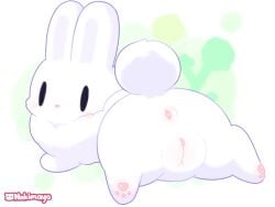 4:3 anus anus_blush black_eyes blush body_blush bunny bunny_(terraria) dewlap_(anatomy) digital_drawing_(artwork) digital_media_(artwork) female feral fluffy fluffy_tail fur genitals hi_res lagomorph leporid mammal nakimayo pawpads pink_anus pink_nose pink_pawpads pink_vulva rabbit simple_face solo tail terraria vulva vulva_blush white_body white_fur