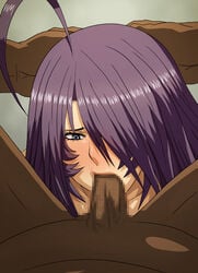 antenna_hair blue_eyes blush censored dark-skinned_male dark_skin fellatio hair_over_one_eyes hand_on_head ikkitousen interracial kan'u_unchou kanu_unchou long_hair male oral penis purple_hair