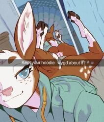 aedalind_(hendak) anus ass bedroom_eyes bottomless clothed clothing english_text eyeball6300_(chiv) female genitals hi_res hoodie mirror mirror_reflection mirror_selfie narrowed_eyes presenting presenting_hindquarters pussy reflection seductive selfie text topwear vulva