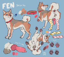 animal_genitalia animal_penis balls black_balls blue_eyes brown_body brown_fur brown_nose brown_pawpads canid canine canine_genitalia canine_penis canis claws closed_eyes collar crossdressing crossdressing_(mtf) crossdressing_male domestic_dog femboy feral fur gay gay_anal gay_male gay_sex genitals hakudoge hi_res homosexual homosexual_male homosexual_sex knot knotted_penis male male/male male_only male_penetrated male_penetrating male_penetrating_male mammal model_sheet pawpads penis red_collar sheath shiba_inu solo spitz tail tail_anus white_claws white_tail