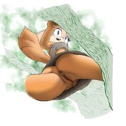 mobian (species) from sega by jenokamui