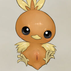 torchic from nintendo by youjomodoki