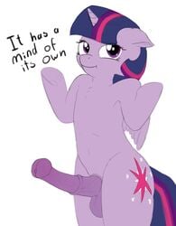 2015 alicorn animal_genitalia animal_penis balls cutie_mark dickgirl english_text equine equine_penis erection feathers feral friendship_is_magic fur hair horn horsecock intersex looking_at_viewer mammal multicolored_hair my_little_pony penis purple_eyes purple_feathers purple_fur simple_background smile solo text twilight_sparkle_(mlp) white_background wings zippysqrl