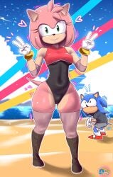 amy rose from sonic (series) by d-art