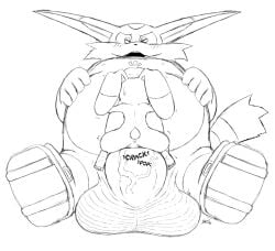 big the cat from sega by excito