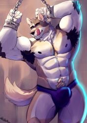 abs absurd_res alfonso_(raccsdatfapps) anthro arm_tuft armpit_hair bara bedroom_eyes big_muscles big_pecs biped blep body_hair bound bulge canid canine canis chained chains chin_tuft clothed clothing cuff_(restraint) dilf elbow_tuft eyebrows facial_tuft fist flexing flexing_bicep flexing_both_biceps front_view fur gonnidae hi_res iberian_wolf inviting_viewer jockstrap licking licking_lips licking_own_lips looking_at_viewer male mammal metal_cuffs multicolored_body multicolored_fur muscles muscular muscular_arms muscular_male narrowed_eyes nipples orange_eyes pecs pinup portrait pose pubes purple_clothing purple_jockstrap purple_underwear restraints seductive shackles signature simple_background snout solo tail tan_background tan_body tan_fur three-quarter_portrait tongue tongue_out topless topless_male tuft underwear wolf