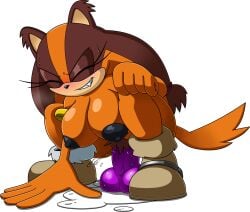 sticks the badger from sega by lordstevie