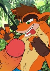 2017 2018 2boys anthro anthro_male anthro_only bandicoot bara crash_(series) crash_bandicoot erection fingerless_gloves furaffinity_link furry furry_male furry_only gay male male_focus male_only marsupial narram penis photo_background tagme tasmanian_tiger tiger tiny_tiger unseen_face unseen_male_face video_games yaoi